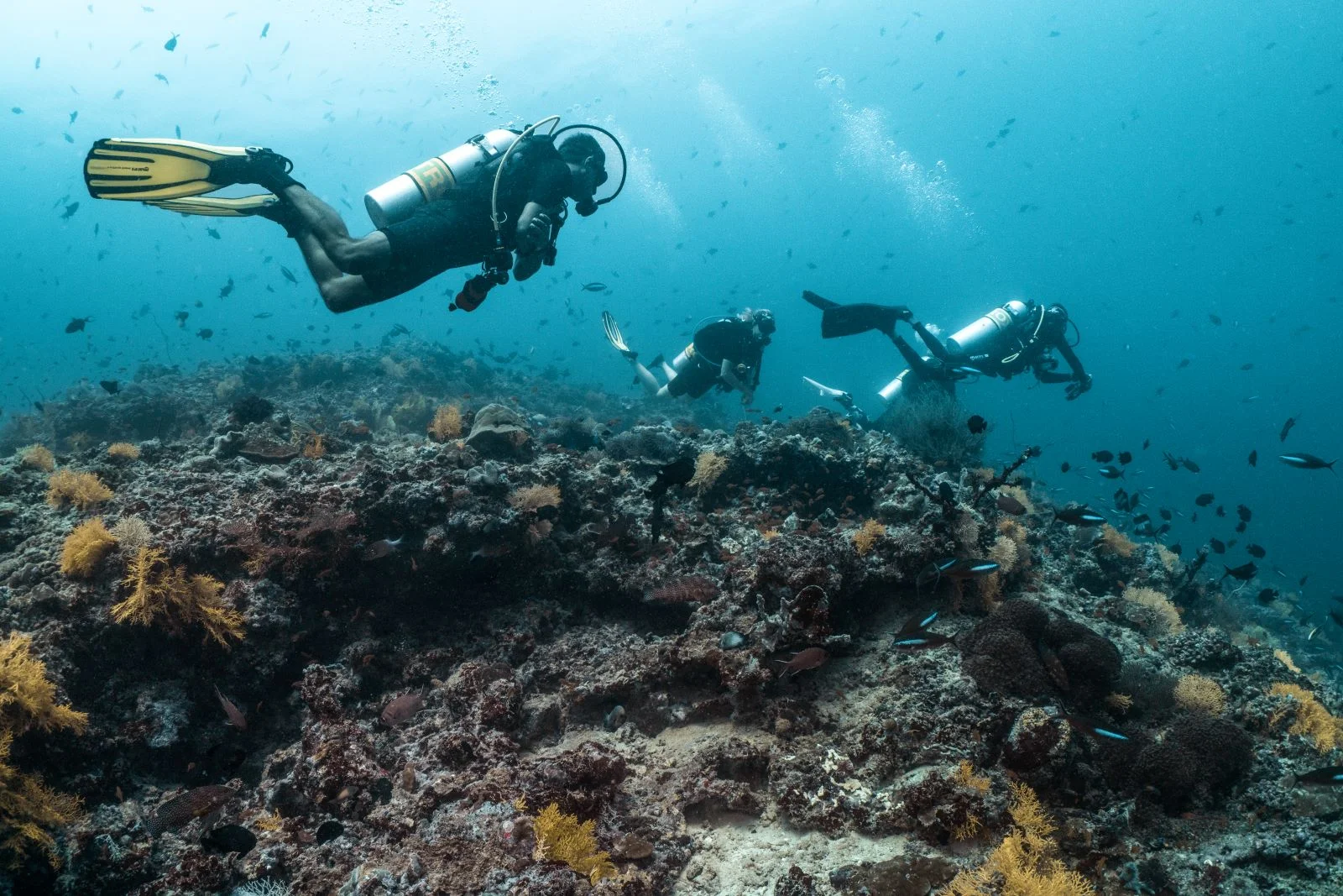 Diving, Finolhu Baa Atoll