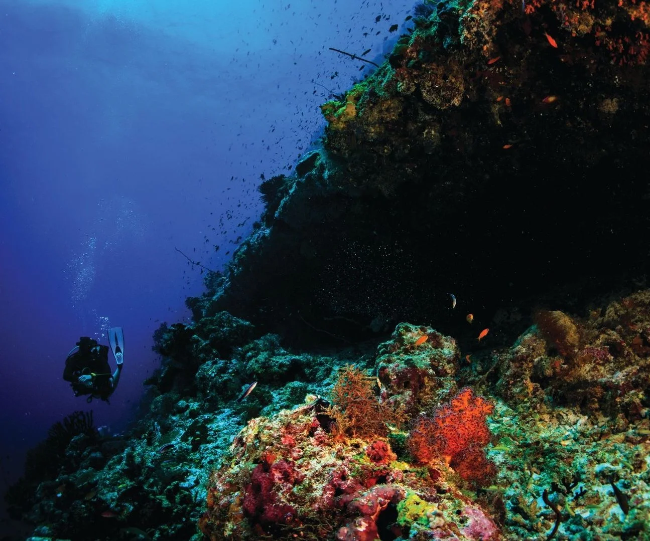 Diving, OBLU Xperience Ailafushi