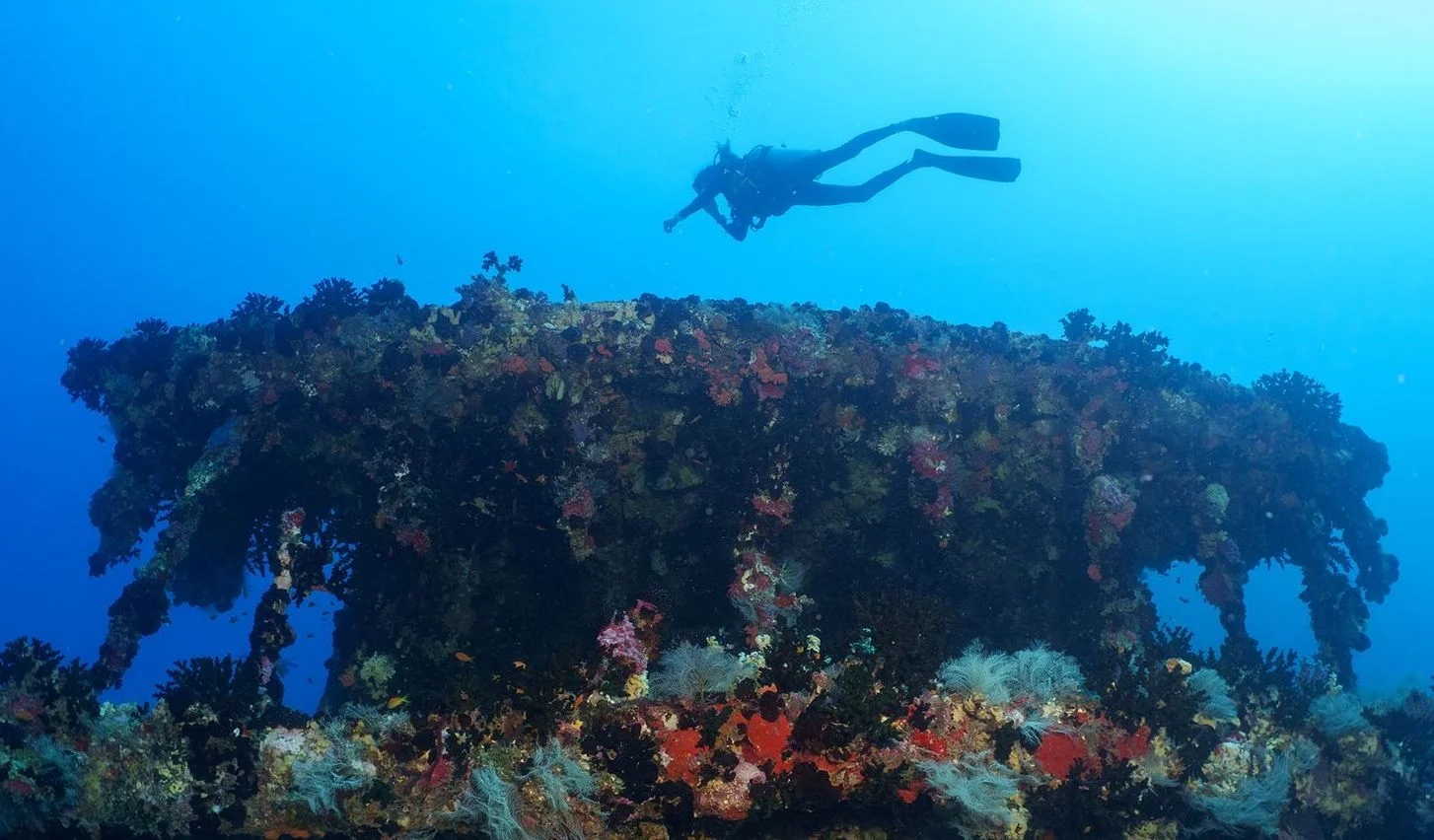 Diving, Atmosphere Kanifushi