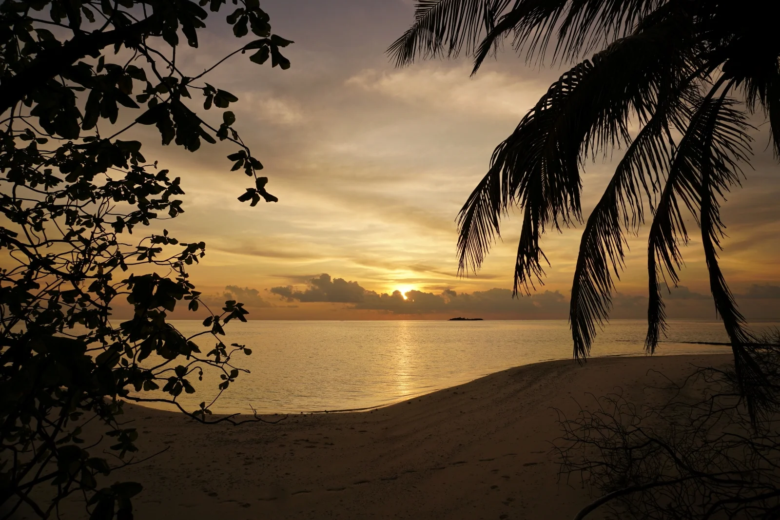Embudhoo private island escape, Coco Palm Dhuni Kolhu
