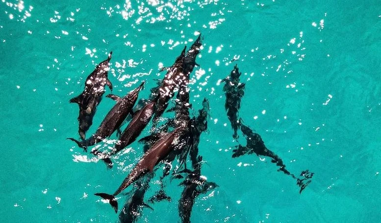 Excursions, Atmosphere Kanifushi