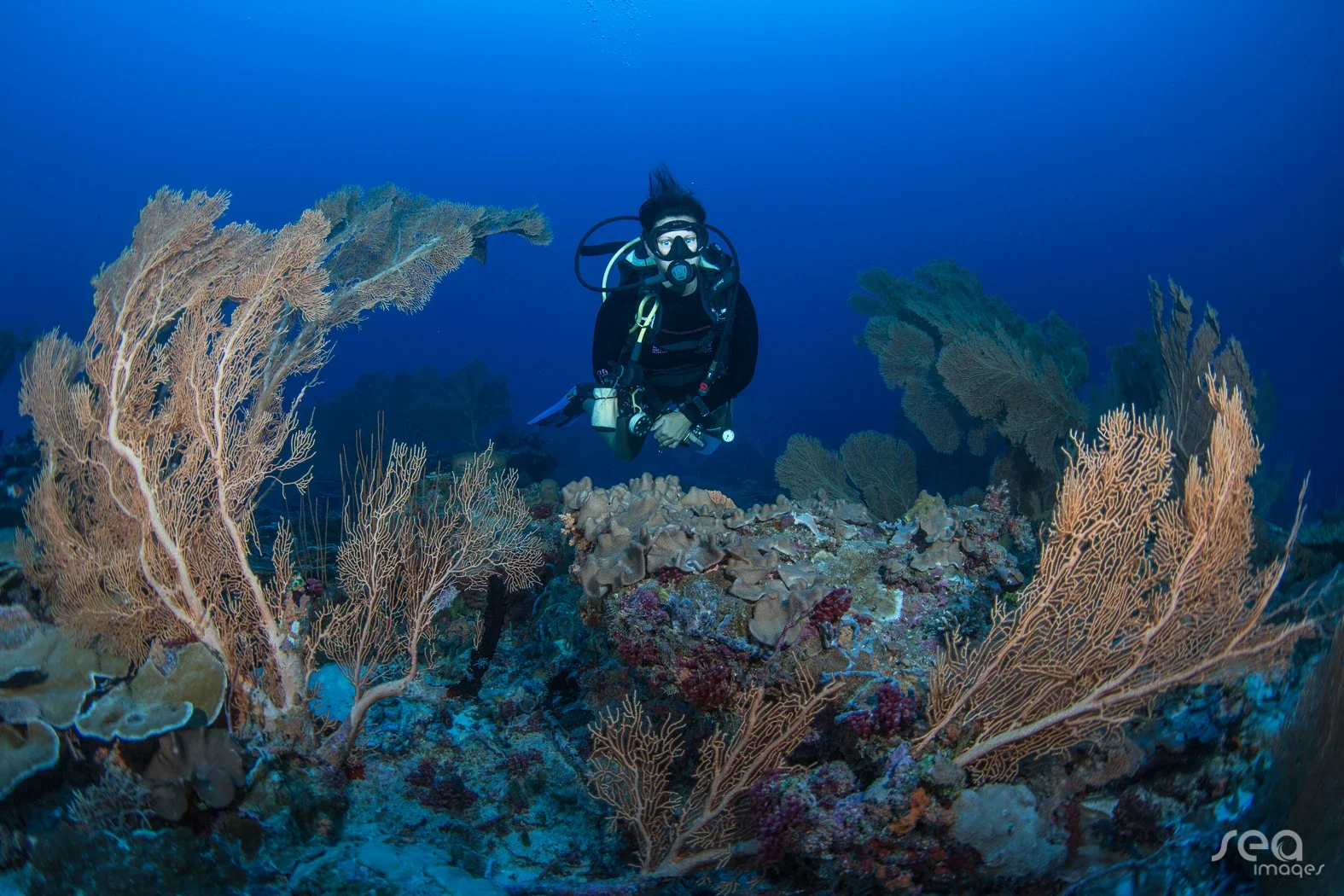 Diving & snorkelling, Grand Park Kodhipparu