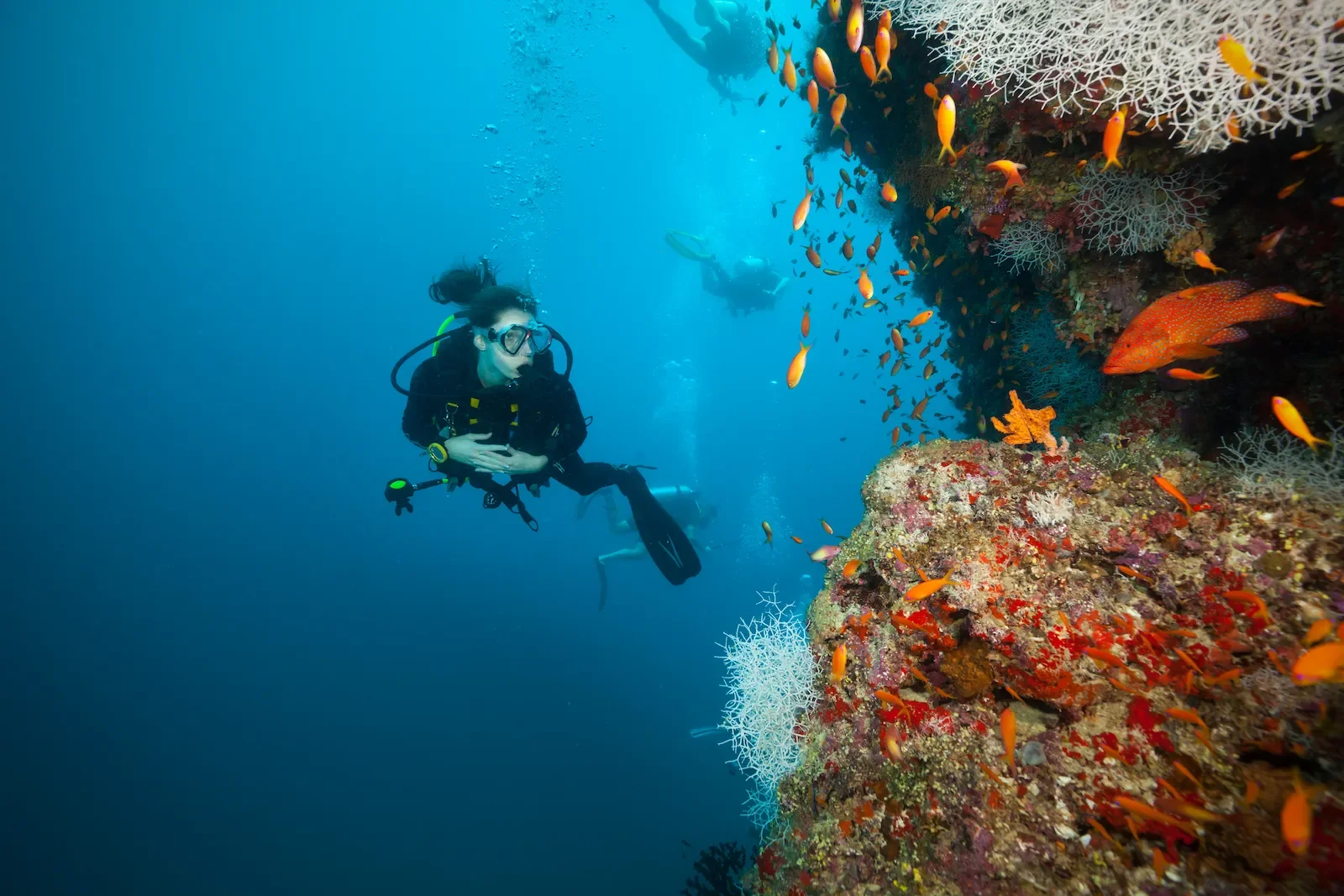 JA Manafaru diving