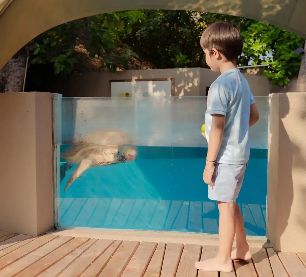 Turtle care & coral planting, Joali Being