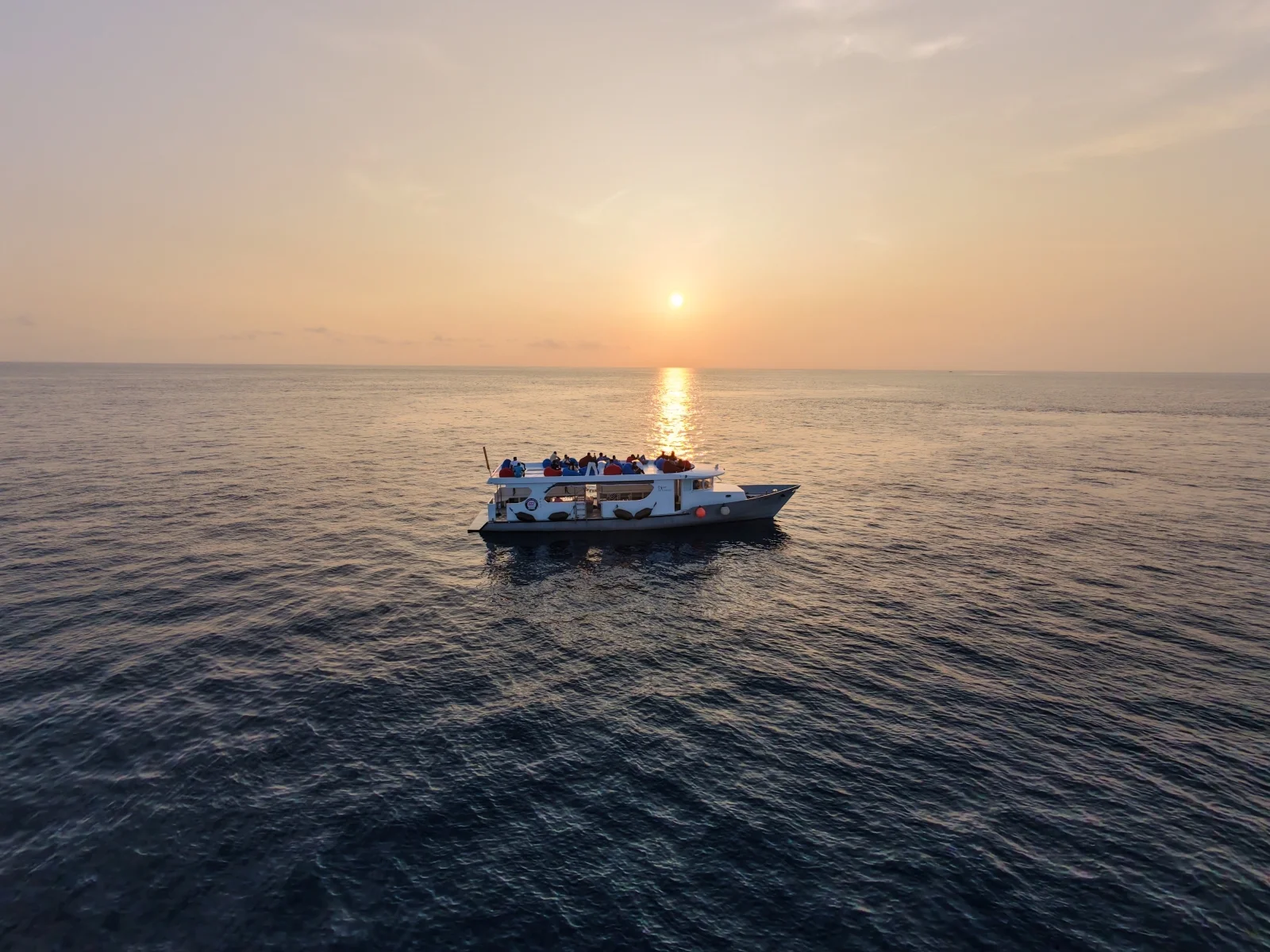 Excursion boat trip, Joy Island by Cocoon