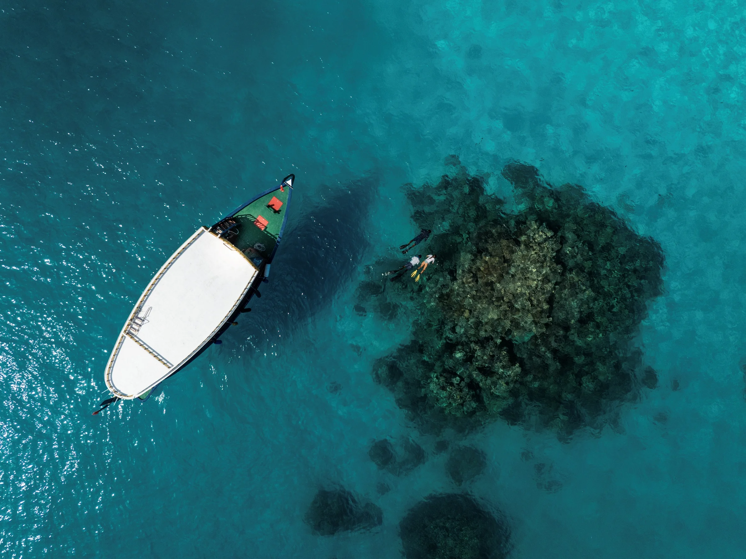 Snorkelling trip boat beside a coral reef, Joy Island by Cocoon