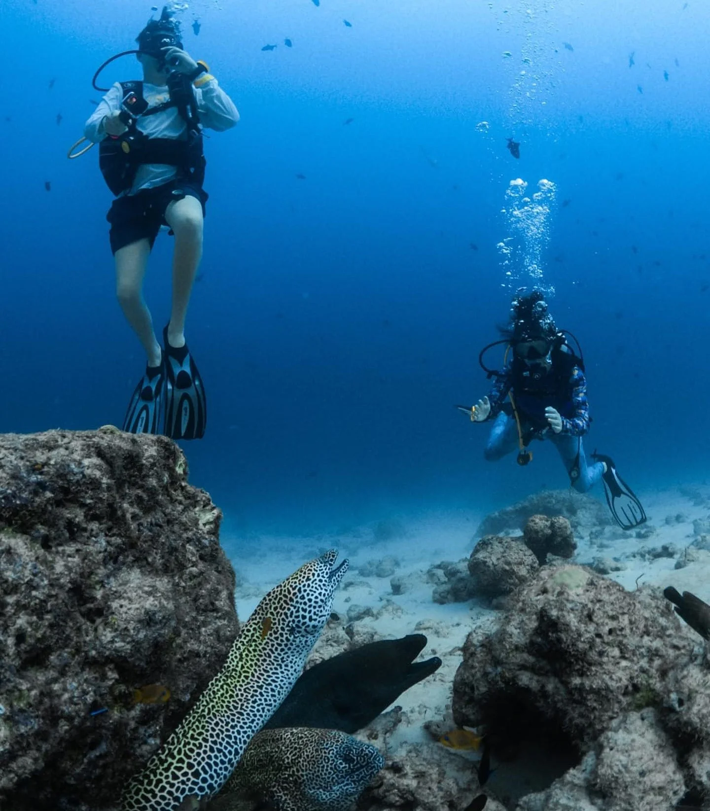 Diving & snorkelling, Hard Rock Hotel Maldives