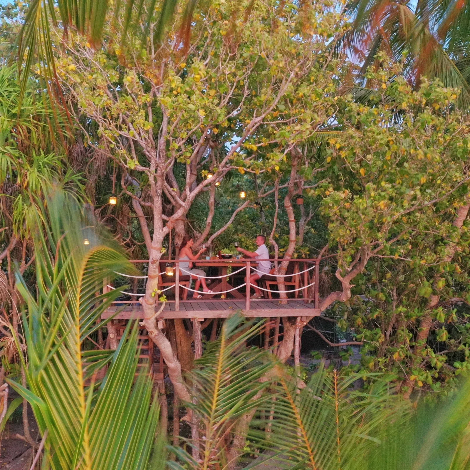 Treehous dining, Park Hyatt Maldives Hadahaa