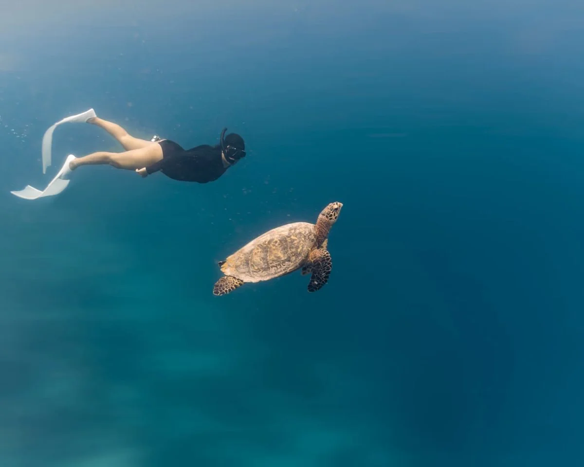 Diving, Royal Island Resort and Spa Maldives