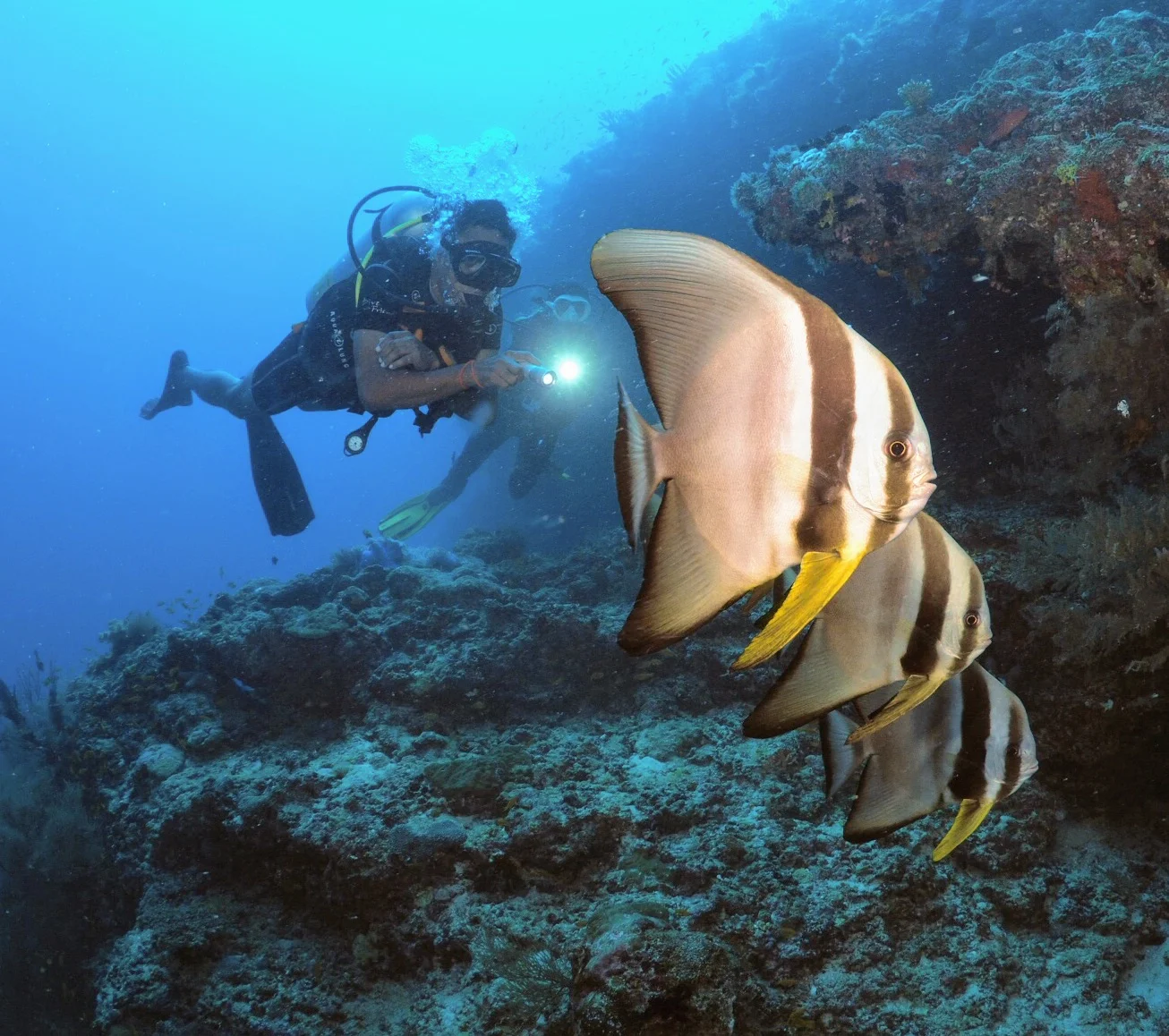 Scuba diving, Adaaran Select Meedhupparu