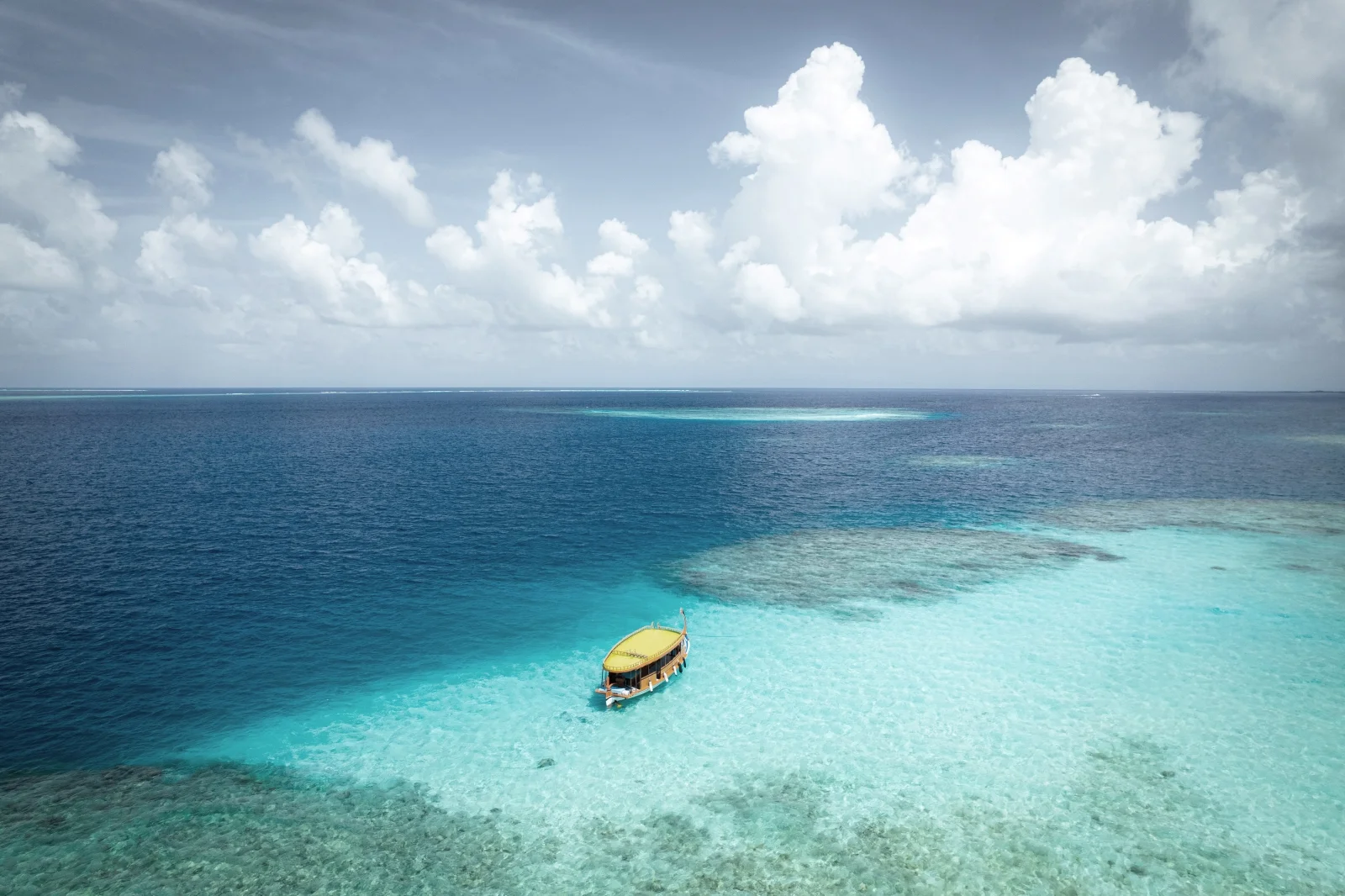 Snorkelling with the marine biologist, Coco Bodu Hithi
