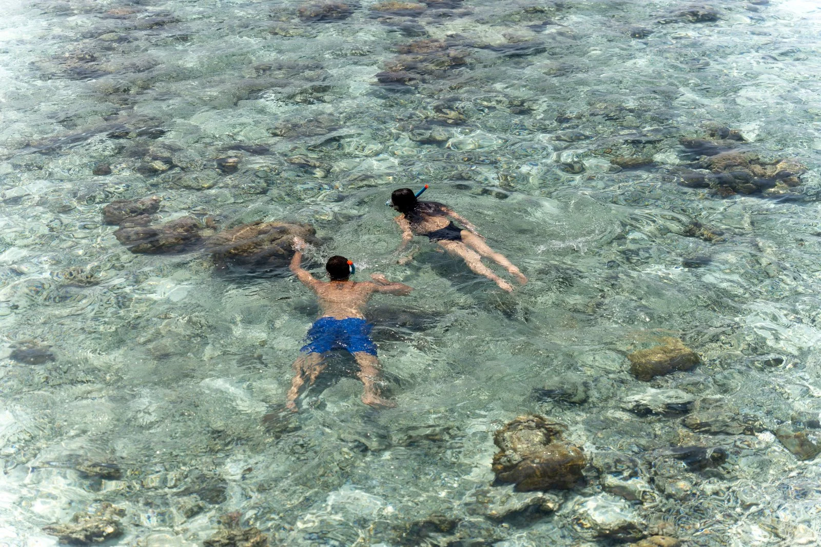 Diving & Snorkelling, Adaaran Prestige Vadoo