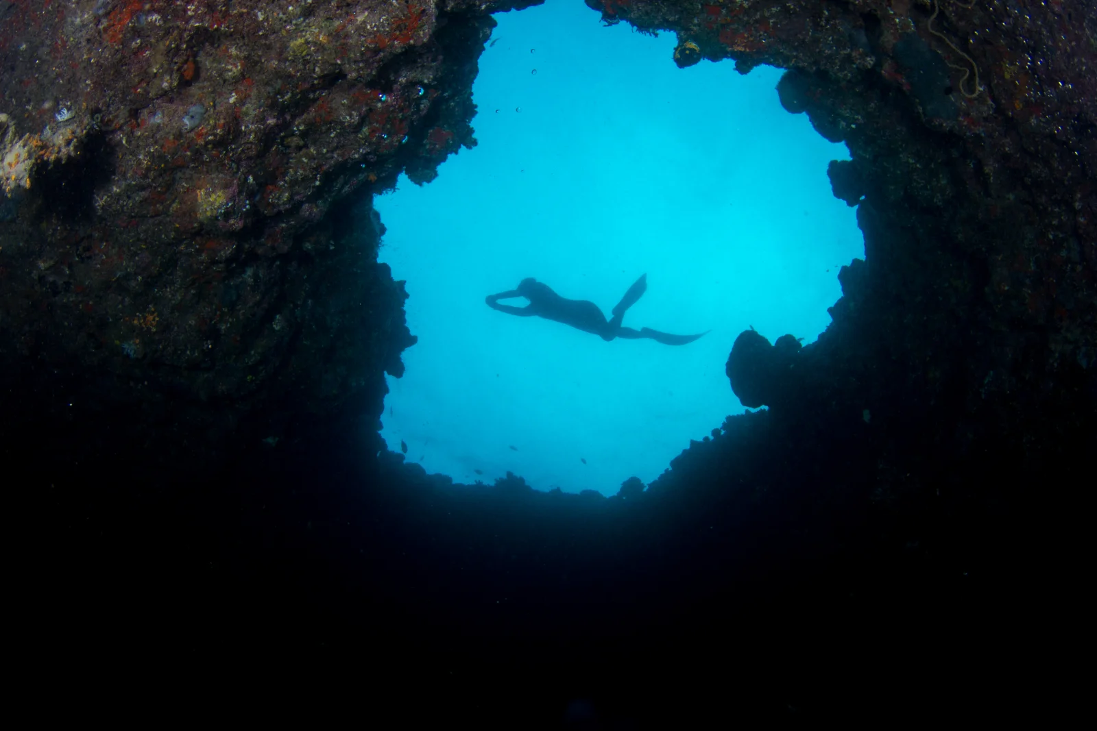 Snorkelling & the Blue Hole, Amilla Maldives