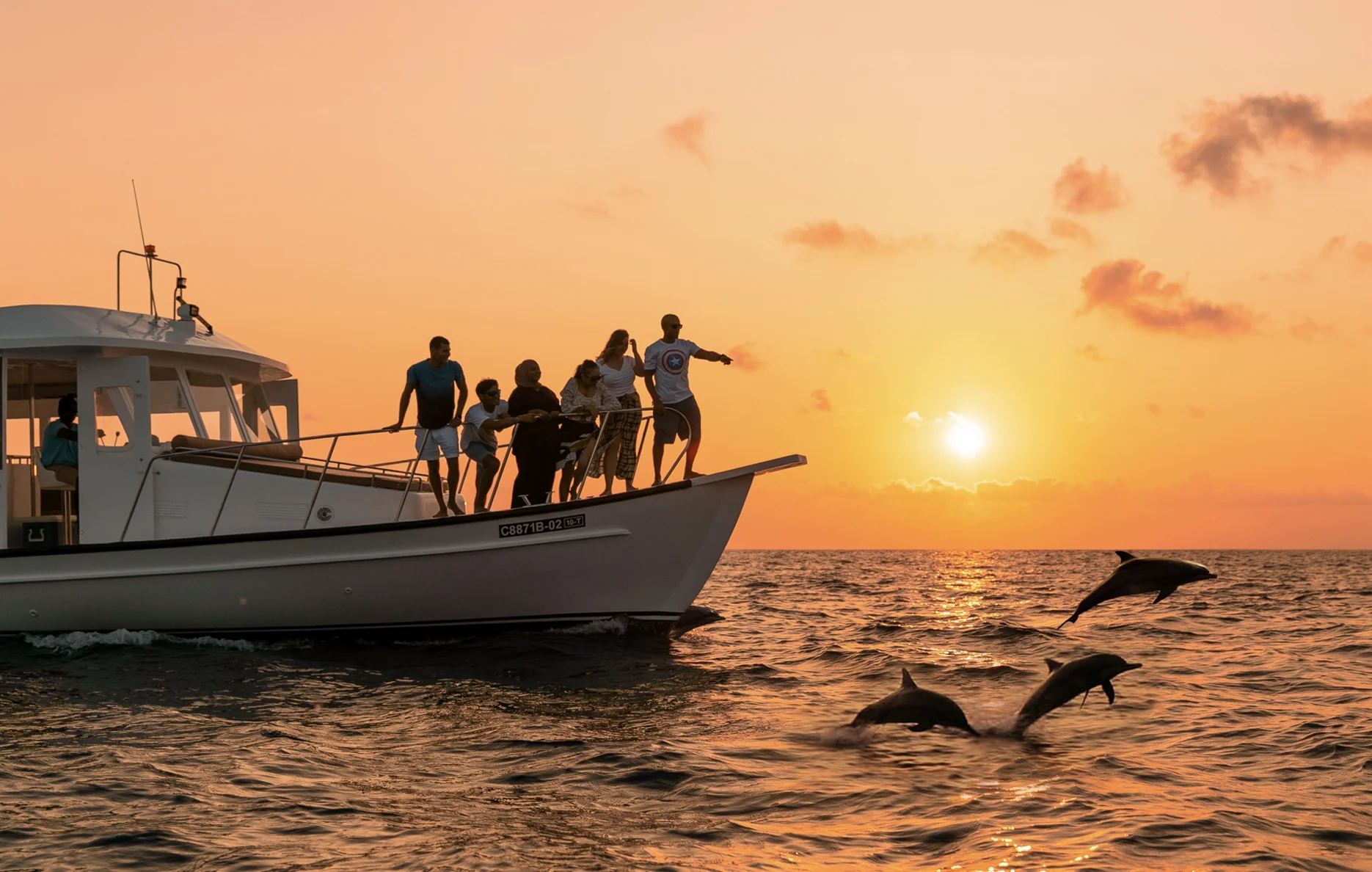 Dolphin-watching cruise at sunset, SO/ Maldives