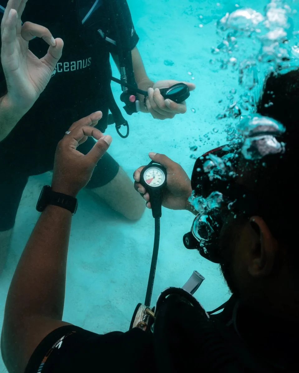 Diving, Villa Nautica Paradise Island