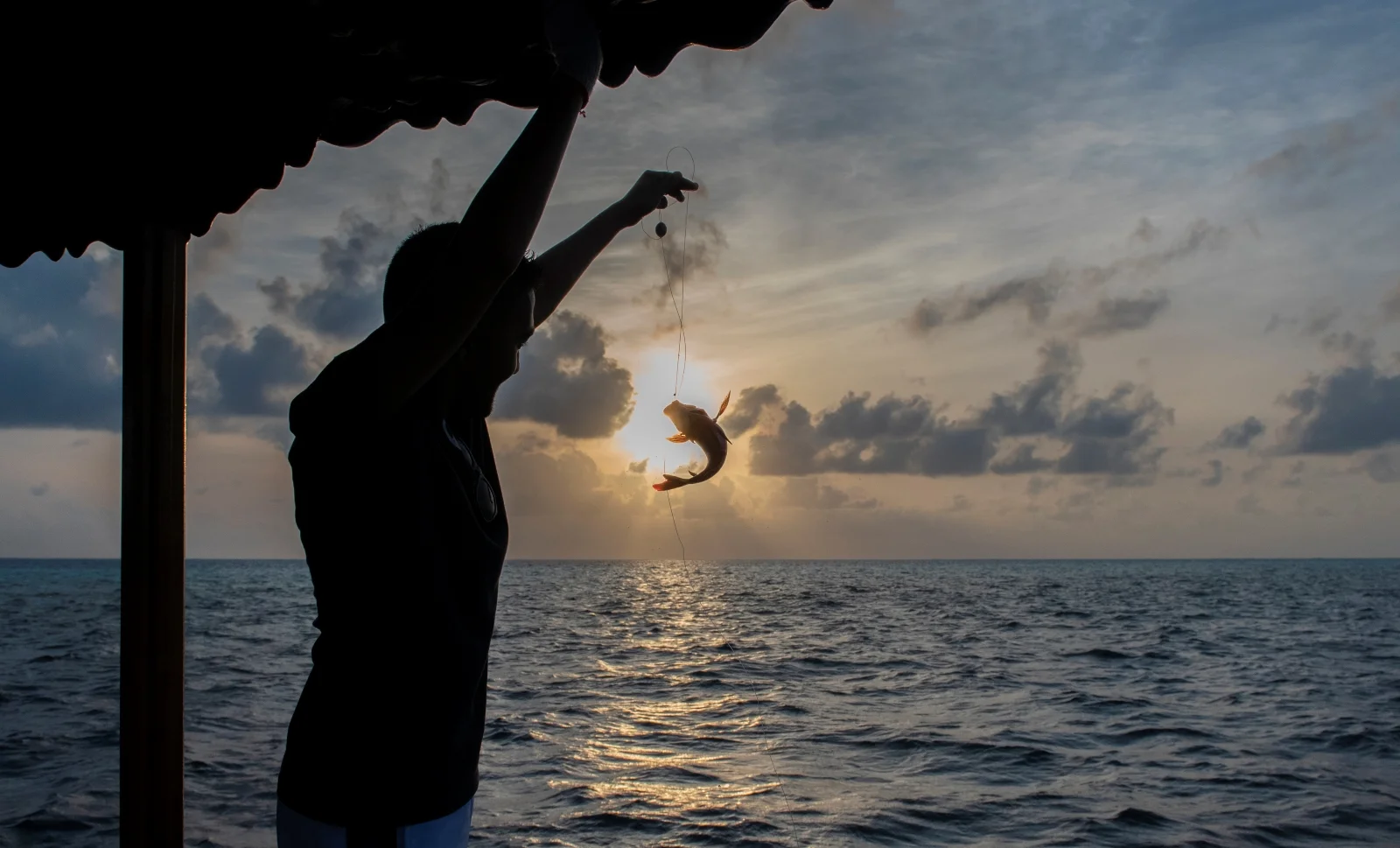 Excursion boat trip, You&Me by Cocoon
