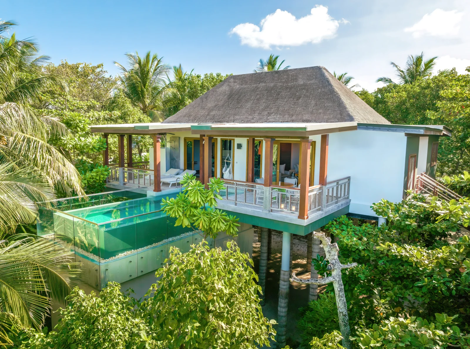 Two-Bedroom Treetop Pool Villa, Amilla Maldives